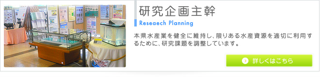 劲