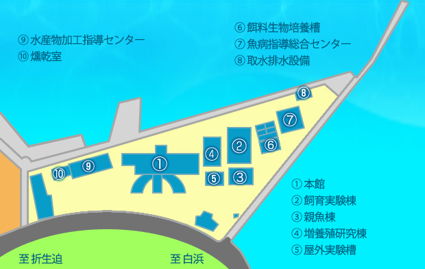 {茧YMAP