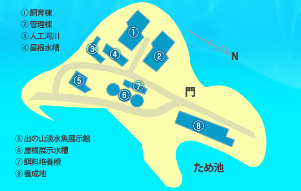 {茧YMAP